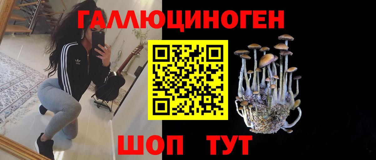 Псилоцибиновые грибы Magic Shrooms  Галлюциногенные грибы ЛСД  Нижнеудинск  Вход с VPN 